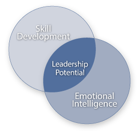 leadership potential, skill development, emotional intelligence