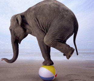 leadership agility