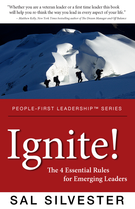 Leadership training and development book - Ignite!