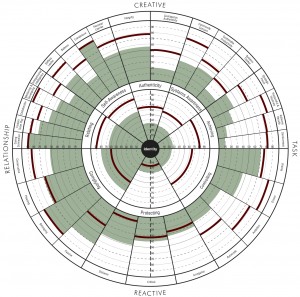 The Leadership Circle Profile boulder denver colorado