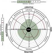 The Leadership Circle Culture Survey boulder denver colorado