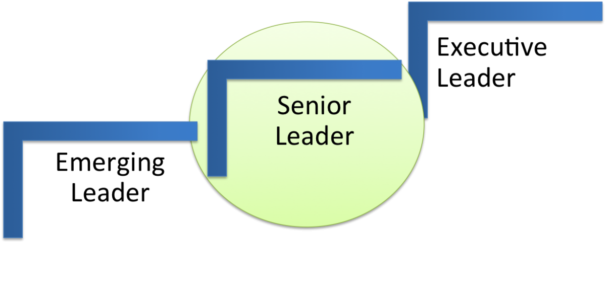 Senior leadership development